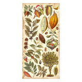 Collectables  (6”x12”) - Coffee and Chocolate