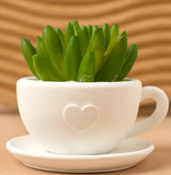 Molde de silicona taza con plato