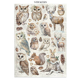 Junk Journal  The Owl's House