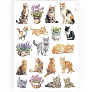 Papel de arroz A4 cats - Stamperia