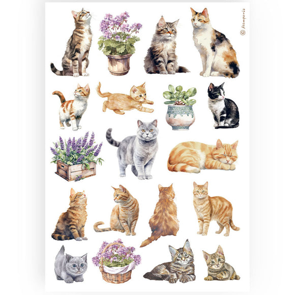 Papel de arroz A4 cats - Stamperia