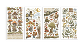 Paper Cut Outs Hidden Grove